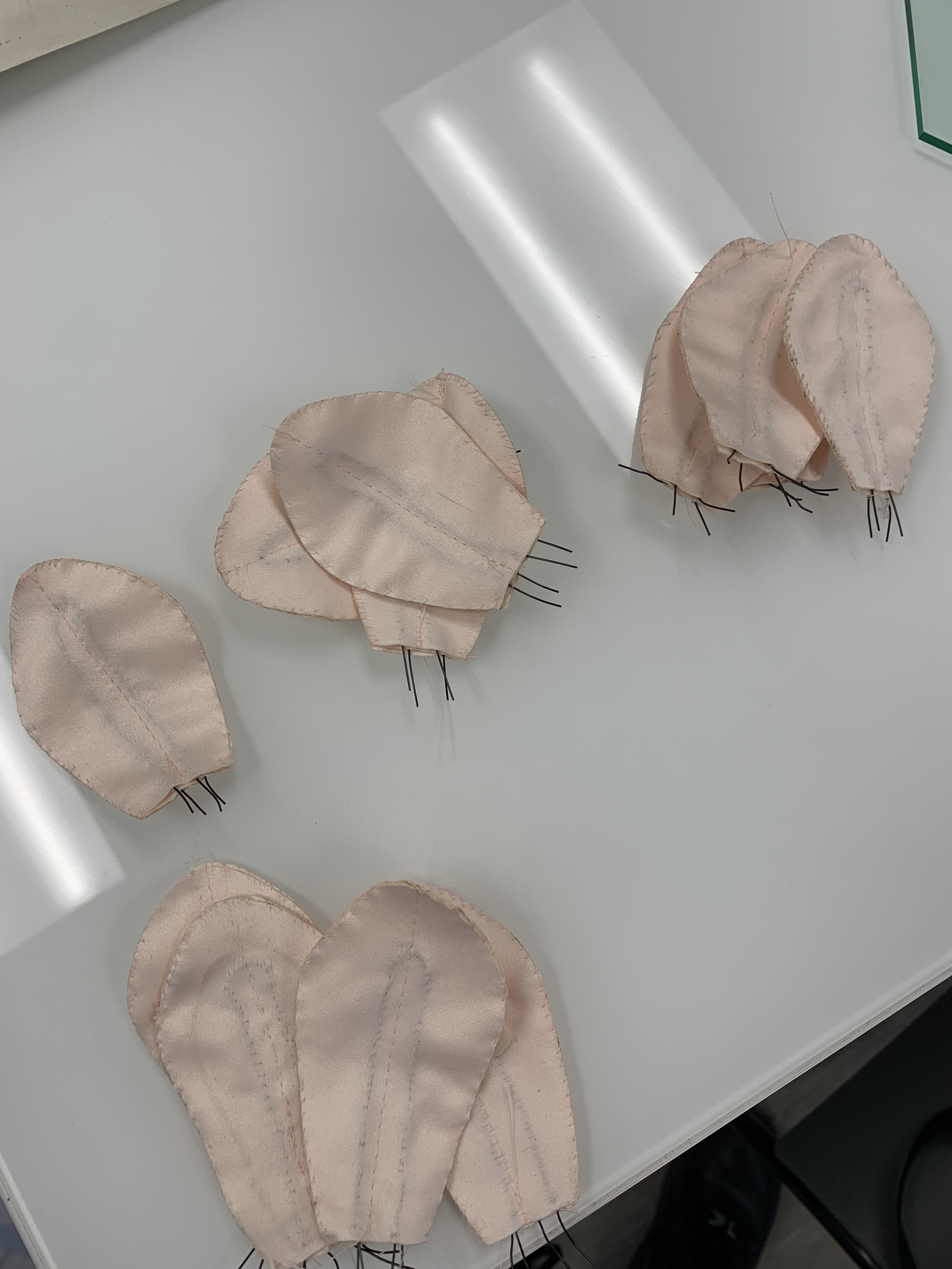 Locked Lotus testing